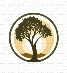 Baumsilhouette und Sonne